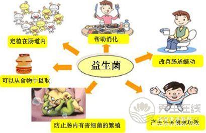 補充益生菌的好處!生活中7種食物富含益生菌 補充益生菌的好處!生活中7種食物富含益生菌