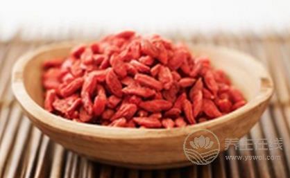 枸杞子泡水喝的功效與禁忌 亂喝它竟會(huì)上火流鼻血 枸杞子泡水喝的功效與禁忌 亂喝它竟會(huì)上火流鼻血