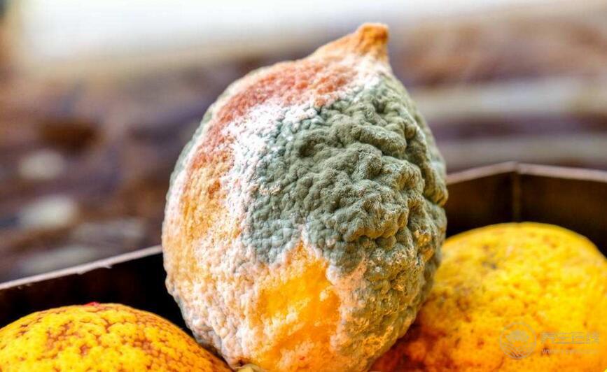 肝病跟吃關系大?想肝臟健康,少吃4類食物 肝病跟吃關系大?想肝臟健康,少吃4類食物