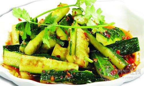 五款黃瓜減肥食譜 熱量超低健康瘦身