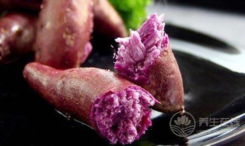 常食薯護腸養胃 推薦紫薯糯米餅 常食薯護腸養胃 推薦紫薯糯米餅