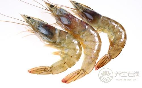 如何辨別蝦的新鮮度?請謹記這五點 如何辨別蝦的新鮮度?請謹記這五點