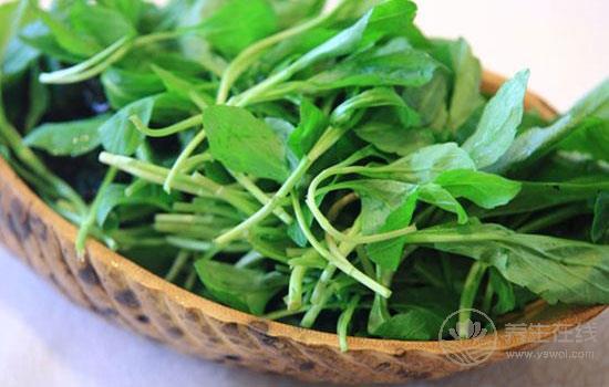 過敏性紫癜如何食補比較好 過敏性紫癜患者飲食推薦 過敏性紫癜如何食補比較好 過敏性紫癜患者飲食推薦