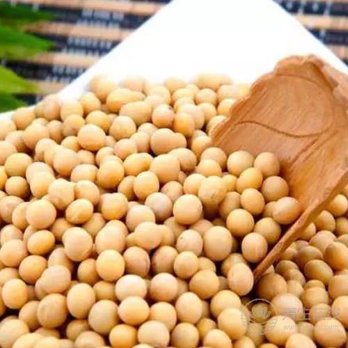 五谷雜糧談養生,長壽抗癌好幫手 五谷雜糧談養生,長壽抗癌好幫手