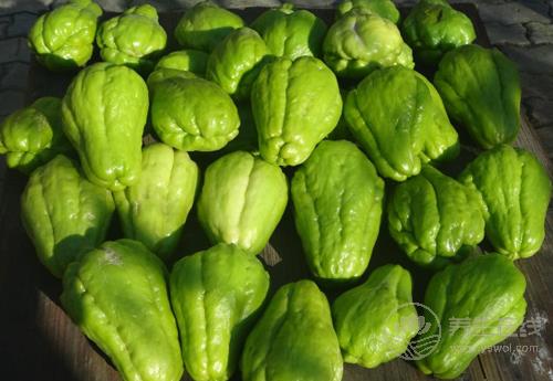 佛手瓜對身體有這些好處,你喜歡吃嗎? 佛手瓜對身體有這些好處,你喜歡吃嗎?