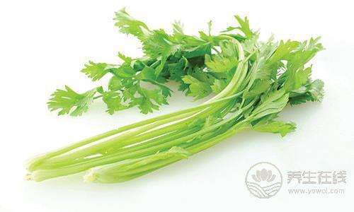 養生飲食禁忌 甲魚不能和這些食物一起吃