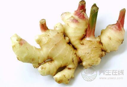 晚上吃姜賽砒霜?晚上吃姜的好處與壞處 晚上吃姜賽砒霜?晚上吃姜的好處與壞處