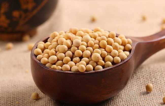 白蘿卜這樣吃竟能抗癌！預(yù)防食管癌這蔬果效果佳