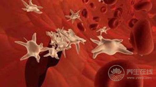 血小板減少怎么辦?這九個食療方法有效幫助血小板提升 血小板減少怎么辦?這九個食療方法有效幫助血小板提升