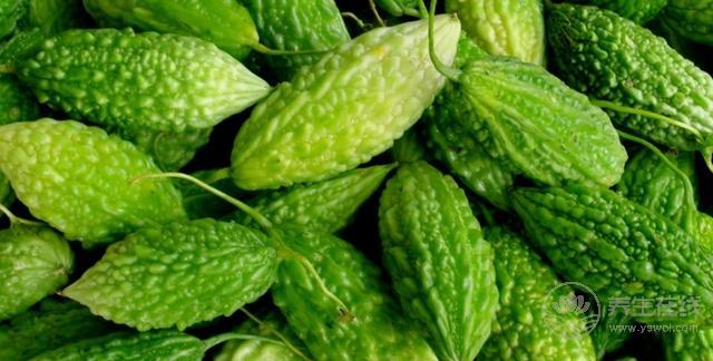 降糖除了吃苦瓜,還有一種“特效藥”,您知道是啥么? 降糖除了吃苦瓜,還有一種“特效藥”,您知道是啥么?