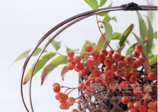 神經衰弱怎么治?試試治療偏方 神經衰弱怎么治?試試治療偏方