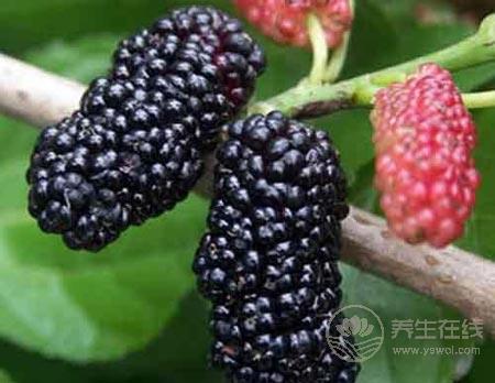 少年白發怎么辦 食療調理恢復濃密黑發 少年白發怎么辦 食療調理恢復濃密黑發