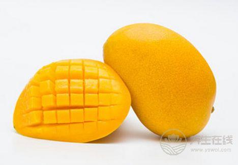 學生臺風天里跑出來“拯救”芒果 臺風也抵擋不了芒果美味的誘惑 學生臺風天里跑出來“拯救”芒果 臺風也抵擋不了芒果美味的誘惑