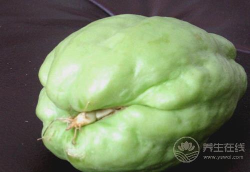 佛手瓜對身體有這些好處,你喜歡吃嗎? 佛手瓜對身體有這些好處,你喜歡吃嗎?