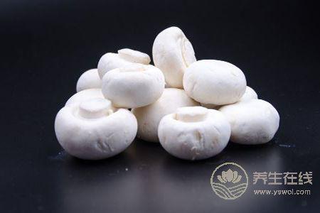 女人吃哪些蛋白質食物能減肥 女人吃哪些蛋白質食物能減肥