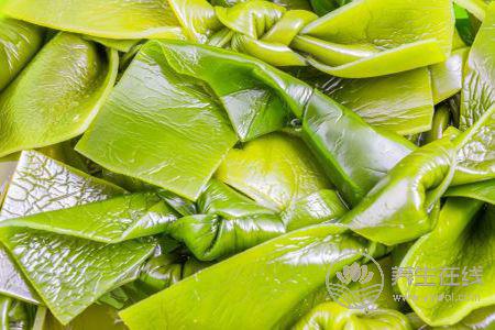 女人吃哪些蛋白質食物能減肥 女人吃哪些蛋白質食物能減肥