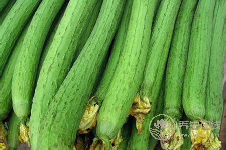 疝氣吃什么對疾病有幫助? 疝氣吃什么對疾病有幫助?