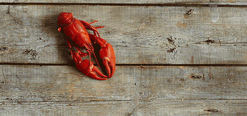 作為一只正經的小龍蝦，這些謠言“黑鍋”我不背！