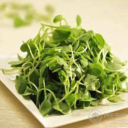 胃痛別光吃胃藥,生活中的5種食物也有很好的緩解作用 胃痛別光吃胃藥,生活中的5種食物也有很好的緩解作用