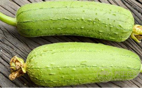 推薦六款瓜類食譜 消暑解渴高效瘦身 推薦六款瓜類食譜 消暑解渴高效瘦身