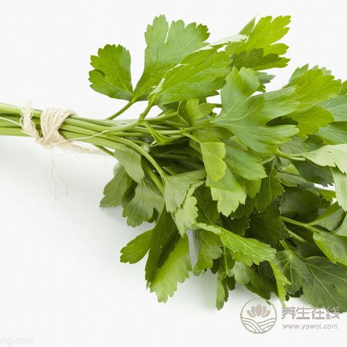 常吃香菜有4大好處，你知道嗎