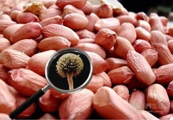 這兩類食物很毒,最容易導(dǎo)致肝癌,很多人還不注意 這兩類食物很毒,最容易導(dǎo)致肝癌,很多人還不注意