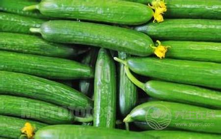 天然美肌吃起來 這些綠色食物具有天然的美肌功效 天然美肌吃起來 這些綠色食物具有天然的美肌功效