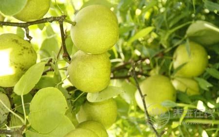 拒絕黃臉婆 脾胃不好的女人不要吃這五種食物 拒絕黃臉婆 脾胃不好的女人不要吃這五種食物