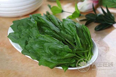 疝氣吃什么對疾病有幫助? 疝氣吃什么對疾病有幫助?