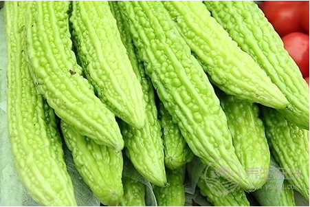 推薦六款瓜類食譜 消暑解渴高效瘦身 推薦六款瓜類食譜 消暑解渴高效瘦身