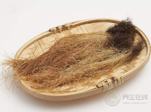 玉米須煮水喝才是養生高手,勝過這5種藥 玉米須煮水喝才是養生高手,勝過這5種藥