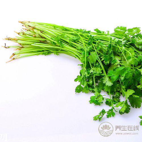 常吃香菜有4大好處，你知道嗎
