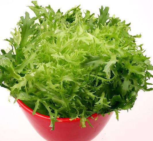 6月必吃的蔬菜是它,養(yǎng)生功效極好,您吃了嗎 6月必吃的蔬菜是它,養(yǎng)生功效極好,您吃了嗎