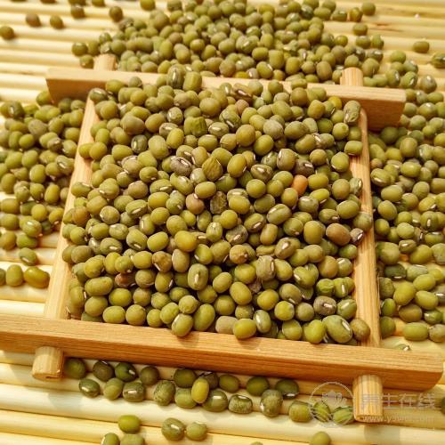 豆類好處多，每天吃一點(diǎn)，可抵抗疾病