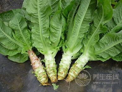 這種菜被稱為降三高小能手，秋冬多吃對身體有好處
