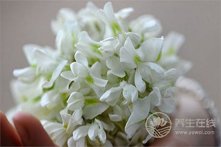 梅毒患者的5種食療方法? 梅毒患者的5種食療方法?