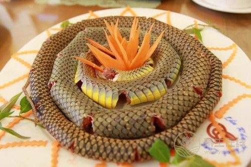 吃蛇肉 莫忽視蛇肉的功效和食用禁忌 吃蛇肉 莫忽視蛇肉的功效和食用禁忌