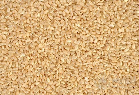 糙米減肥,糙米怎么做減肥效果好 糙米減肥,糙米怎么做減肥效果好