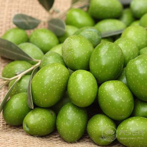 好皮膚,吃出來,4種食物能有效延緩衰老 好皮膚,吃出來,4種食物能有效延緩衰老