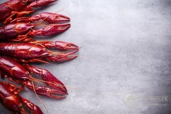 作為一只正經的小龍蝦，這些謠言“黑鍋”我不背！