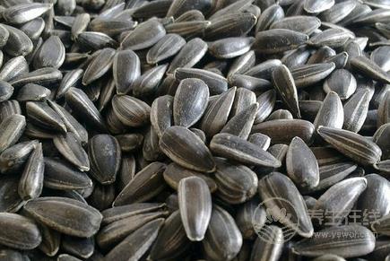 讓你折壽的食物 讓你折壽的飲食習慣 讓你折壽的食物 讓你折壽的飲食習慣