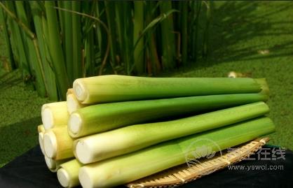 當(dāng)心!!這7種蔬菜沒煮熟似砒霜 當(dāng)心!!這7種蔬菜沒煮熟似砒霜