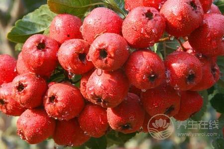 拒絕黃臉婆 脾胃不好的女人不要吃這五種食物 拒絕黃臉婆 脾胃不好的女人不要吃這五種食物