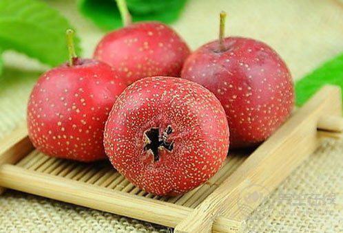 山楂減肥法有功效嗎?山楂減肥食譜 山楂減肥法有功效嗎?山楂減肥食譜