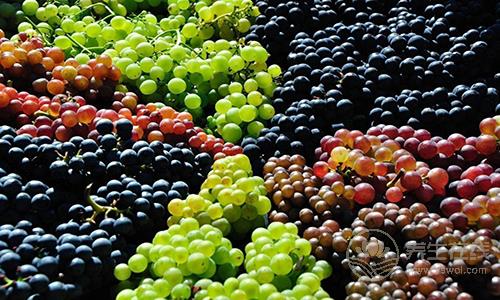 吃葡萄后喝水會引起腹瀉 吃葡萄注意七個事項 吃葡萄后喝水會引起腹瀉 吃葡萄注意七個事項