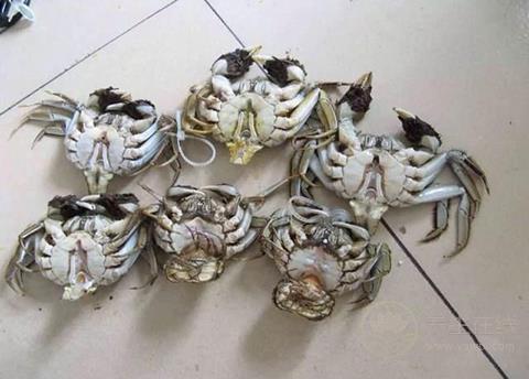 美味食物背后竟藏玄機! 這八種食物打死不能吃 美味食物背后竟藏玄機! 這八種食物打死不能吃