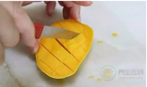 學生臺風天里跑出來“拯救”芒果 臺風也抵擋不了芒果美味的誘惑 學生臺風天里跑出來“拯救”芒果 臺風也抵擋不了芒果美味的誘惑