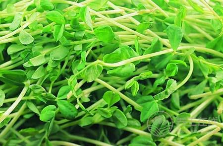 年輕人三高吃什么好  八種食物讓年輕人遠(yuǎn)離三高