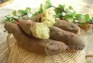 到底吃紅薯紫薯白薯哪種更營(yíng)養(yǎng)?常吃它降壓不發(fā)胖! 到底吃紅薯紫薯白薯哪種更營(yíng)養(yǎng)?常吃它降壓不發(fā)胖!