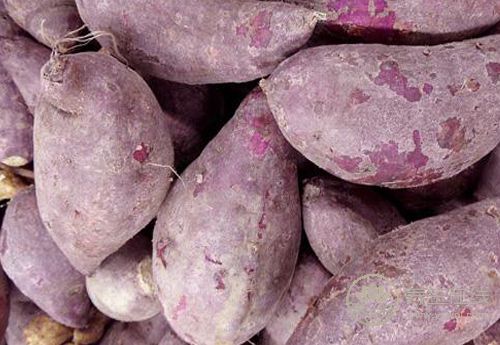 紫薯不僅好吃,還有這些作用,紫薯的吃法 紫薯不僅好吃,還有這些作用,紫薯的吃法